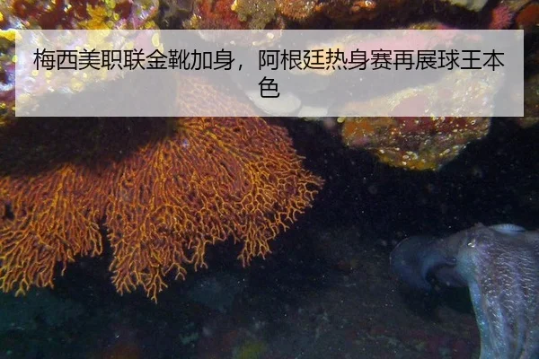梅西美职联金靴加身，阿根廷热身赛再展球王本色