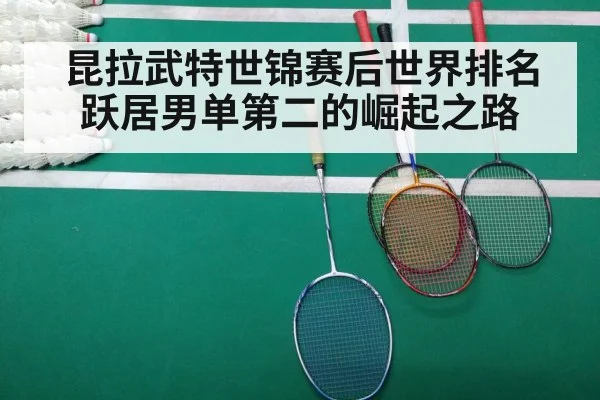 badminton match court