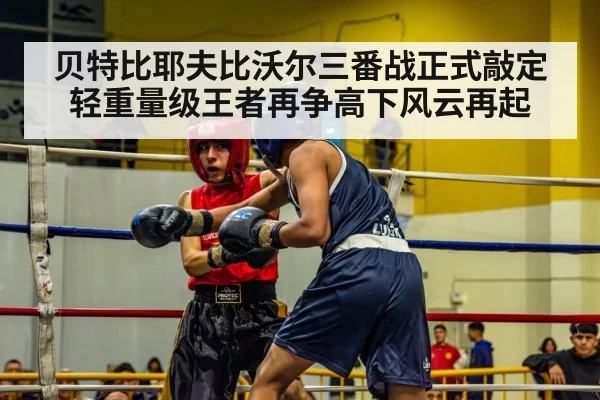 贝特比耶夫比沃尔三番战正式敲定 轻重量级王者再争高下风云再起