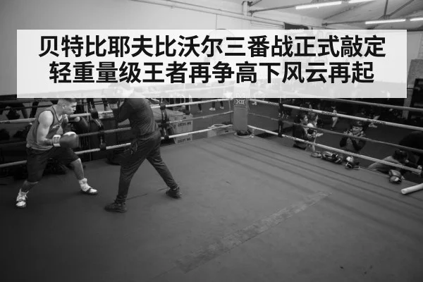boxer training gym