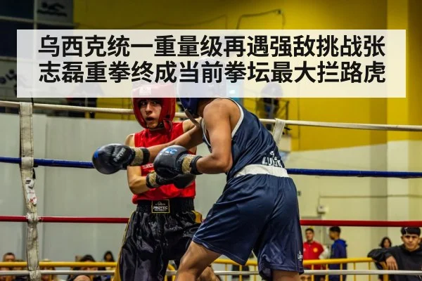 乌西克统一重量级再遇强敌挑战张志磊重拳终成当前拳坛最大拦路虎