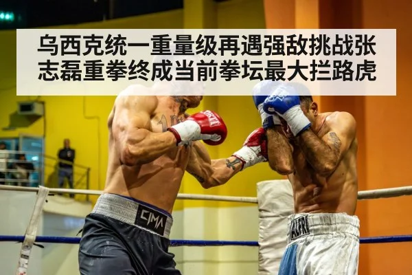 heavyweight boxer training